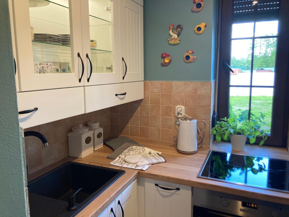 Dom Piasutno Villa Eksteriør bilde